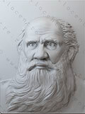 Объемный портрет Толстой Л.Н.