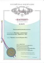 тактильный наземный указатель Черепнов Алексей