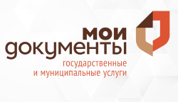 Представитель Тифлоцентра адаптировал МФЦ в Чкаловске