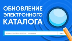 Поиск на сайте Тифлоцентра стал умнее и быстрее