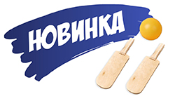 Тифлоцентр «Вертикаль» выпустил набор для игры в шоудаун