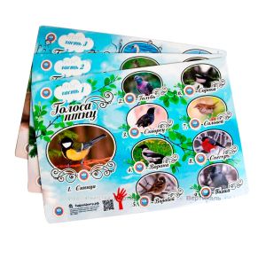 Тактильно-звуковые пособия передают информацию 3 способами: зрительное, тактильное и звуковое восприятие.Такие пособия разработаны для детей дошкольного и младшего школьного возраста, включая ребят с ОВЗ.