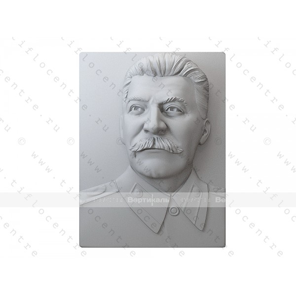 Портрет 3D Революционный деятель Сталин И.В., тактильный – фото № 2