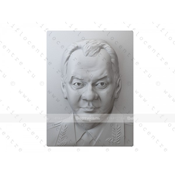 Портрет 3D Государственный деятель Шойгу С.К.,тактильный – фото № 2