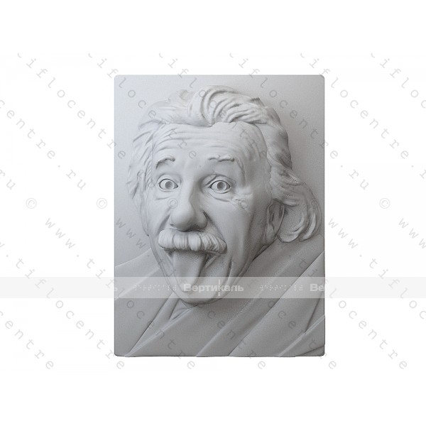 Портрет 3D Физик-теоретик Эйнштейн А., тактильный – фото № 2