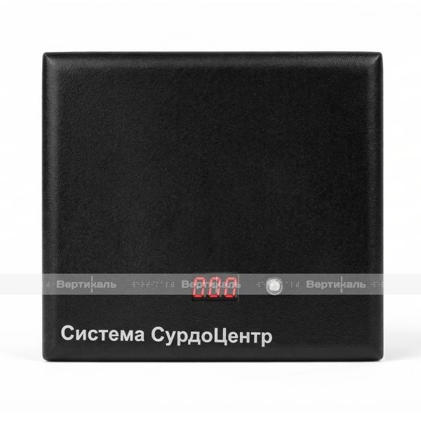 Каскадный коммутатор системы оповещения "СурдоЦентр" с источником бесперебойного питания черного цвета – фото № 1