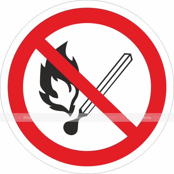 P 02 Запрещается пользоваться открытым огнем и курить – фото № 1