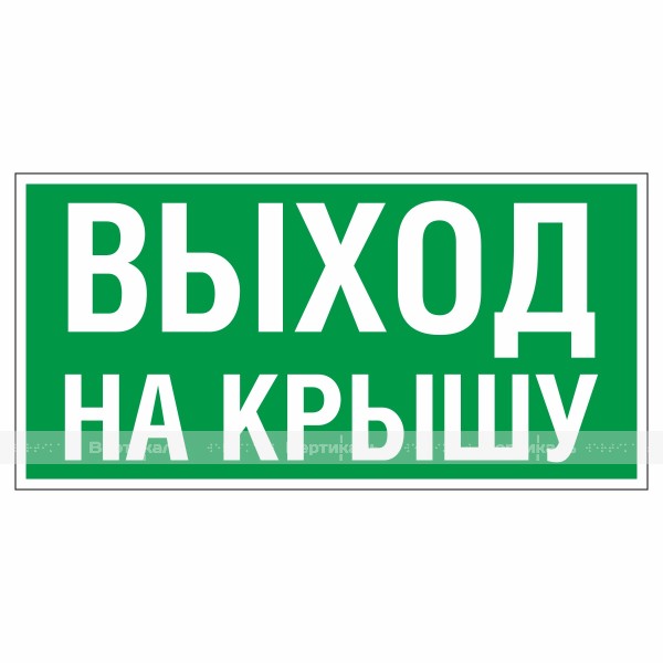 Знак эвакуационный «Аварийный выход на крышу», фотолюминесцентный – фото № 1