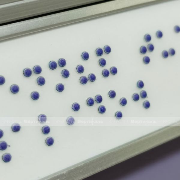 Пиктограмма тактильная, модульная "Обособленный туалет доступный для инвалидов на кресле-коляске", с наклонным белым полем, синим шрифтом, одинарная – фото № 4