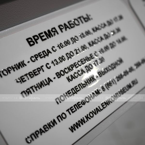 Мнемосхема тактильно-звуковая для входной группы, тип 2, белого цвета – фото № 14