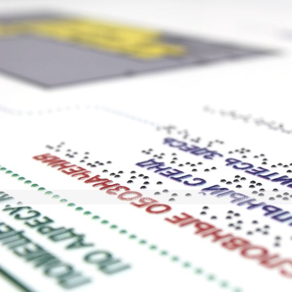 Мнемосхема тактильная «Профи» для помещений с увеличенной высотой подъёма и индивидуальными размерами на ПВХ 3 мм – фото № 3