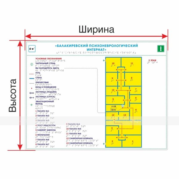 Мнемосхема тактильная «Профи» для помещений с увеличенной высотой подъёма и индивидуальными размерами на ПВХ 3 мм – фото № 1